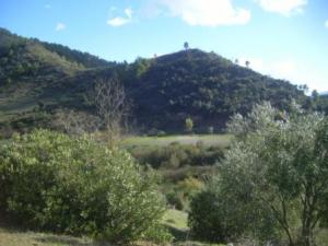 منظر طبيعي بضواحي بلدية  المروج   16