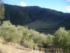 منظر طبيعي بضواحي بلدية  المروج   18