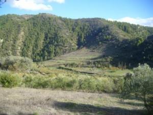 منظر طبيعي بضواحي بلدية  المروج  (5)