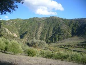 منظر طبيعي بضواحي بلدية  المروج  (6)