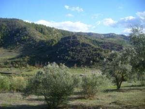 منظر طبيعي بضواحي بلدية  المروج  (7)