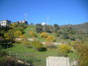 منظر طبيعي بضواحي  المروج