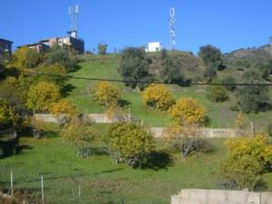 منظر طبيعي بضواحي  المروج  1