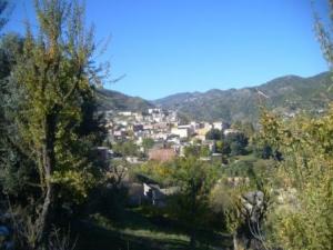 منظر طبيعي بضواحي  المروج  6