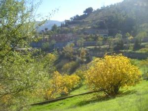 منظر طبيعي بضواحي  المروج  19