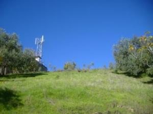 منظر طبيعي من ضواحي  المروج  6