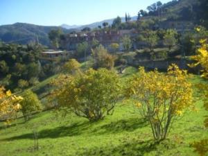 منظر طبيعي من ضواحي  المروج  11