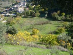 منظر طبيعي من ضواحي  المروج  27