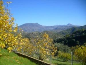 منظر طبيعي من ضواحي  المروج  28