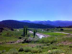 صورة لغابات جبل  شيلية  (بلدية يابوس) 1