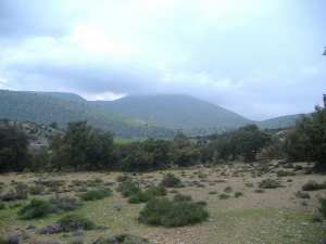 منظر لجبل  شيلية  بمنطقة  الأوراس