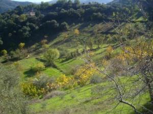 بلدية  المروج  في فصل الخريف