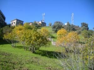 قرية  المروج  في فصل الخريف 1