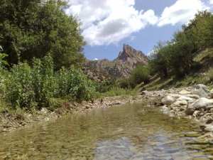 منظر غابي خلاب بمنطقة  شيلية  (ولاية خنشلة)