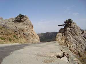 منظر من جبل  شيلية  (ولاية خنشلة)