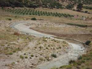 وادي منبثق من أعالي جبل  شيلية  (ولاية خنشلة)