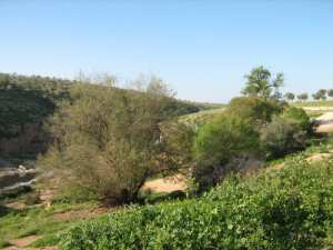 منظر طبيعي من جبل  شيلية  (ولاية خنشلة) 8