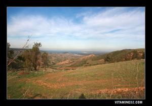 الحقول الفلاحية لبلدية  بوتليليس  (ولاية وهران)