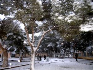 Bayadh sous la neige