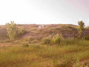 La Verdure sur la Route de Rogassa