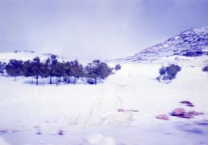 Paysage Enneigé dans la périphérie d'El Bayadh