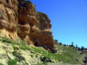 الغابات الجبلية لبلدية  يابوس  2