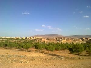 La Mini Forêt de Ouled Yahia (Wilaya d'El Bayadh)