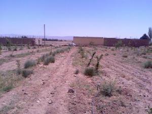 Agriculture dans la commune de Sidi Tifour