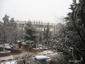 تربية الخيل بضواحي جبل  شيلية