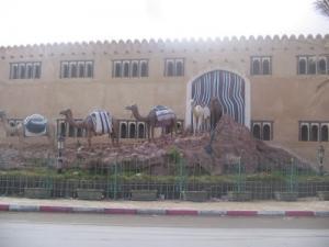 Caravane de chameaux à l'entrée de la ville d'El Bayadh