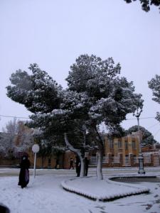 Chute de Neige sur la ville d'El Bayadh