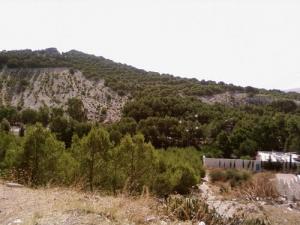 Monts près de Kef El Ahmar