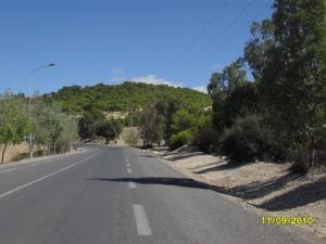 La Forêt d'El Bayadh