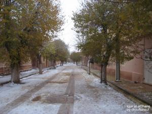 Une allée à Ksar El Atchane