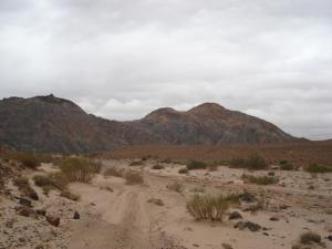 Paysage de Kaf el Milh (Wilaya de Laghouat)
