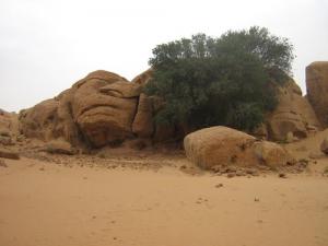 Paysage de Sidi Ameur