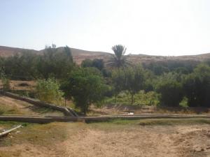 Exploitation Agricole Draima