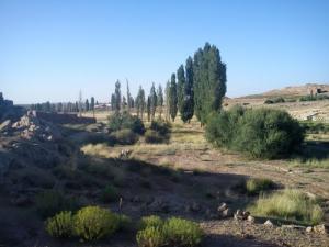 Paysage du Oued de Sidi Amar