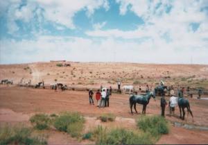 Marché de Chevaux à El Bayadh