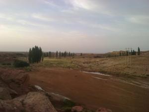 La région de Ain Sidi Amar