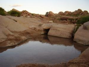 Ain Sidi Amar (Wilaya d'El Bayadh)