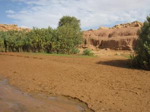 Paysage de Sidi Ameur (Wilaya d'El Bayadh)