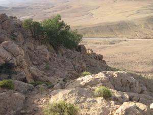 Vue depuis les Hauteurs d'El Bayadh