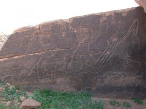 Gravures Rupestres dans la région de Maktouba au Sud de Ouafeg