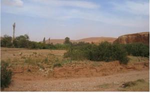 Paysage de Oued EL Deghima