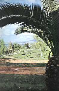 صورة من ضواحي مدينة تلمسان