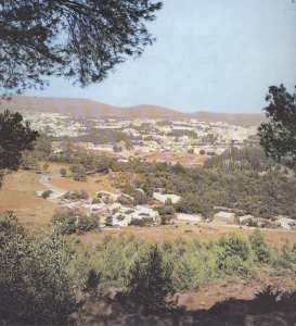 صورة من ضواحي مدينة تلمسان (1970)