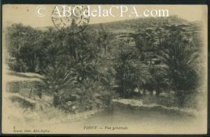 بطاقة تذكارية لواحات بلدية  تيوت  1