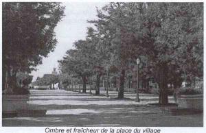 الشارع المؤدي إلى الساحة المركزية لمدينة  بسباس  (الفترة الإستعمارية)