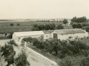 حقول فلاحية بضواحي مدينة  بسباس  (الفترة الإستعمارية)